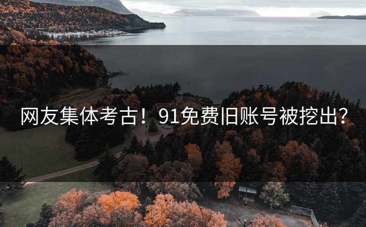 网友集体考古！91免费旧账号被挖出？