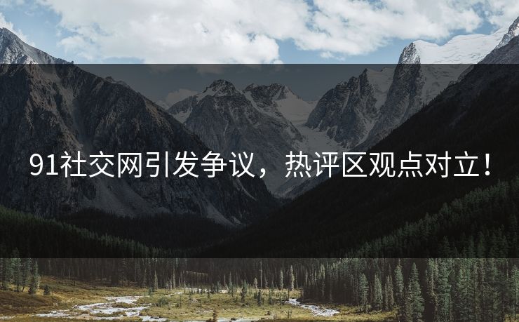 91社交网引发争议，热评区观点对立！