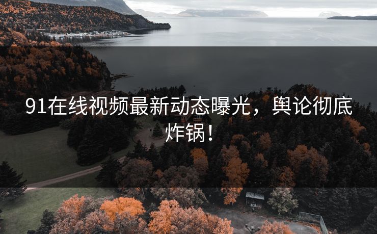 91在线视频最新动态曝光，舆论彻底炸锅！