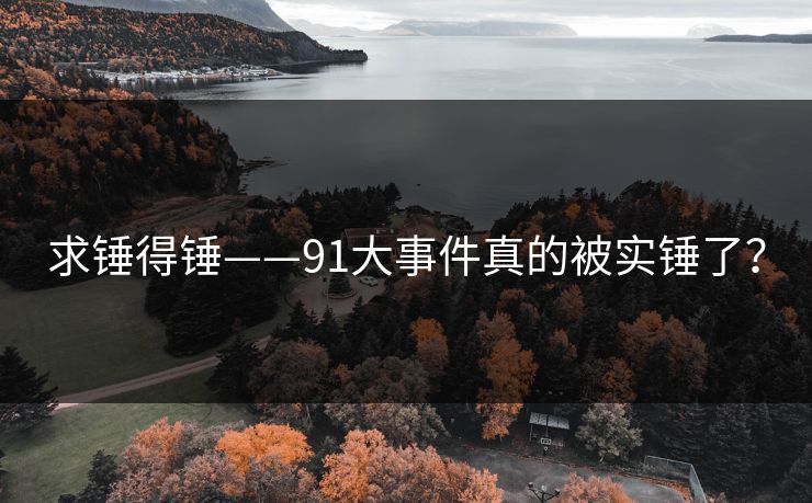 求锤得锤——91大事件真的被实锤了？