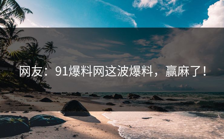 网友：91爆料网这波爆料，赢麻了！