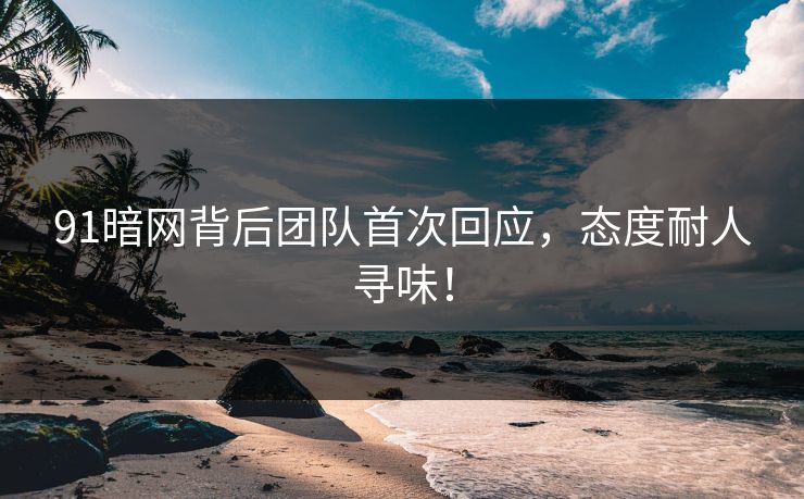 91暗网背后团队首次回应，态度耐人寻味！