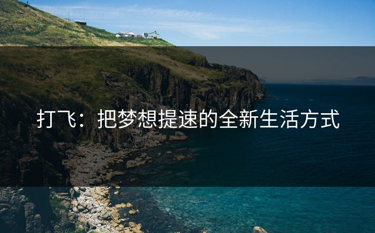 打飞：把梦想提速的全新生活方式