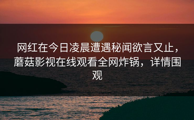 网红在今日凌晨遭遇秘闻欲言又止，蘑菇影视在线观看全网炸锅，详情围观