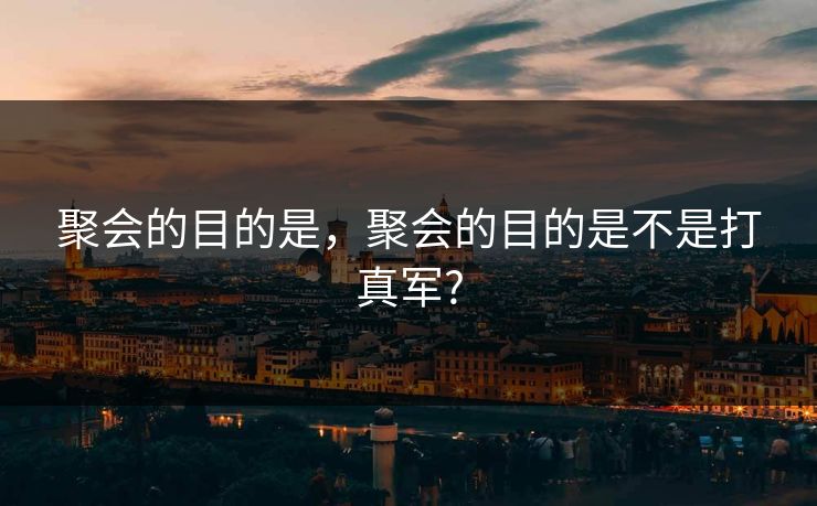 聚会的目的是，聚会的目的是不是打真军?